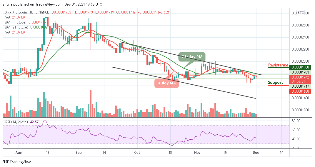 Ripple Price Prediction