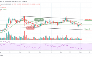 Ripple Price Prediction