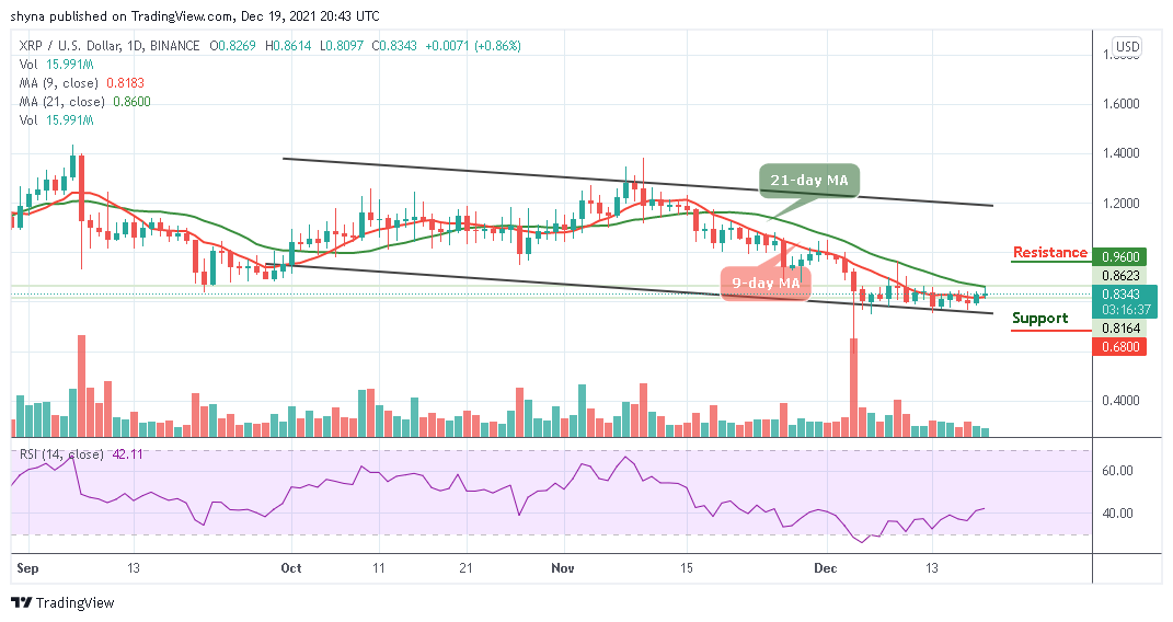 Ripple Price Prediction