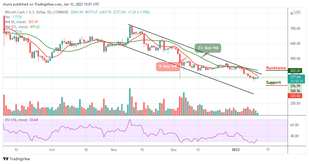 Bitcoin Cash Price Prediction