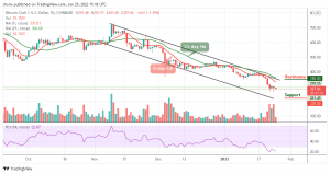 Bitcoin Cash Prediction