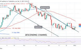 Bitcoin (BTC) Price Prediction: BTC/USD Is In a Minor Retracement as Bitcoin Pauses above $47K
