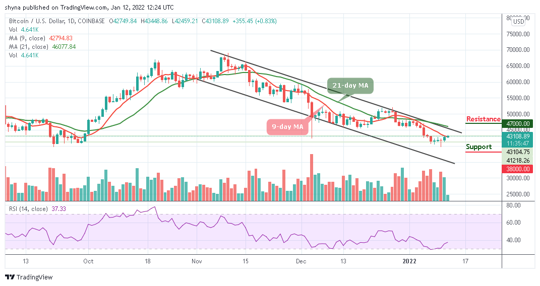 Bitcoin Price Prediction