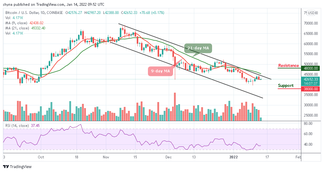 Dự đoán giá bitcoin