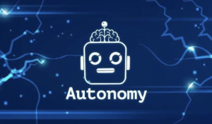 autonomy network autoswap