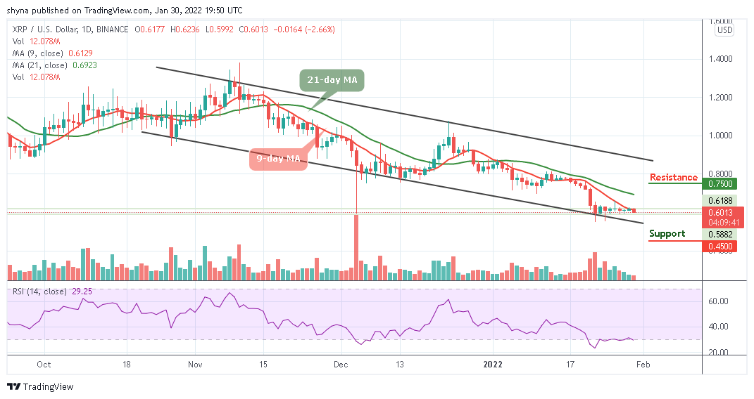 Ripple ფასის პროგნოზი