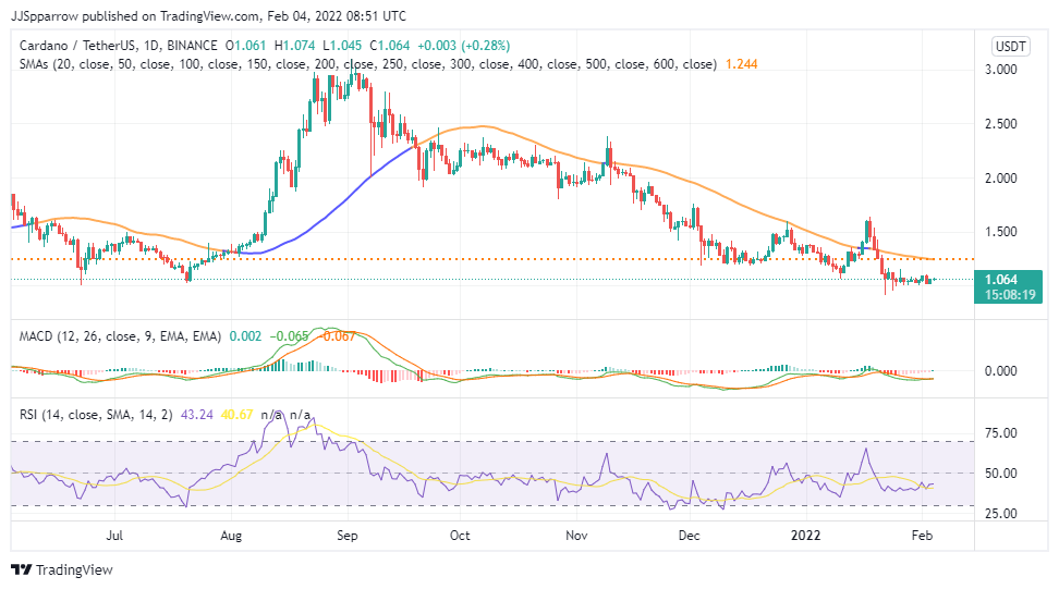 Top Altcoins to Buy