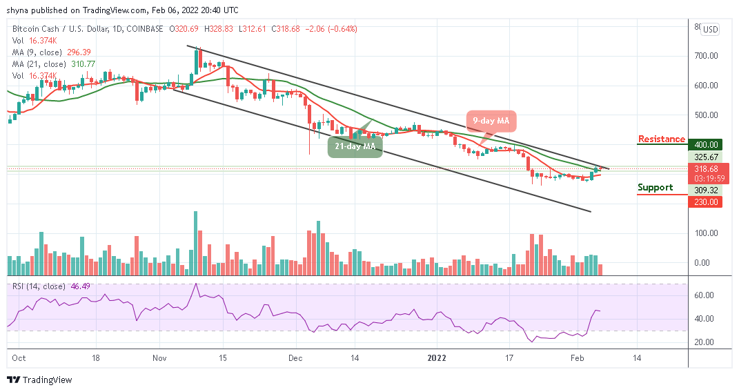 Previsão de preço em dinheiro de Bitcoin