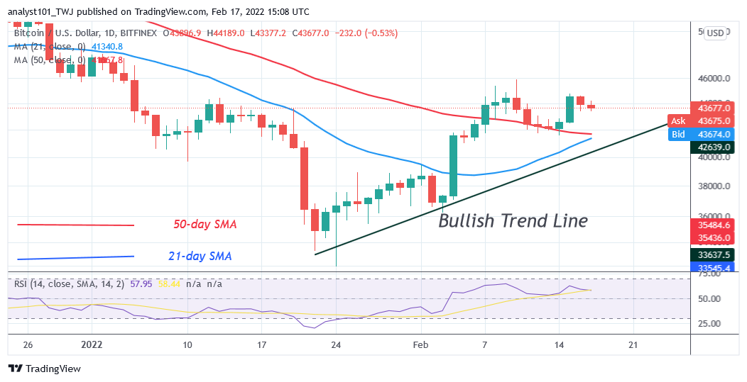 Predicción del precio de Bitcoin (BTC): BTC/USD se desploma por encima de los $40 a medida que Bitcoin corre el riesgo de disminuir aún más