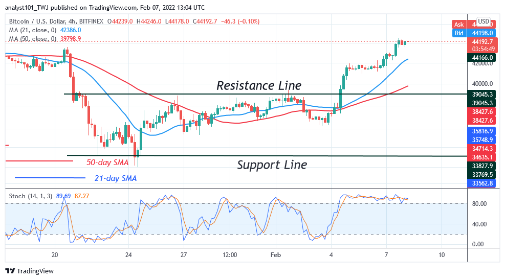 Bitcoin (BTC) Price Prediction: BTC/USD Is in a Minor Pullback as Bitcoin Battles Resistance at $45k 