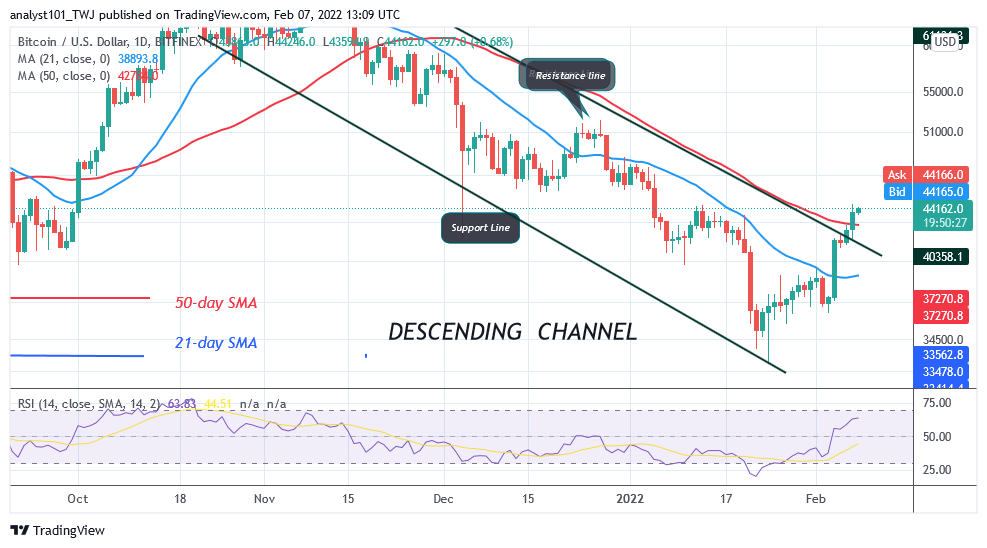 Prediksiyon ng Presyo ng Bitcoin (BTC): Ang BTC/USD ay nasa isang Minor Pullback bilang Bitcoin Battles Resistance sa $45k