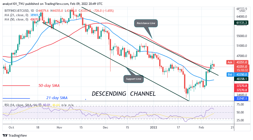 Bitcoin (BTC) Price Prediction: BTC/USD Is Vulnerable below $42K as Bitcoin Holds above It