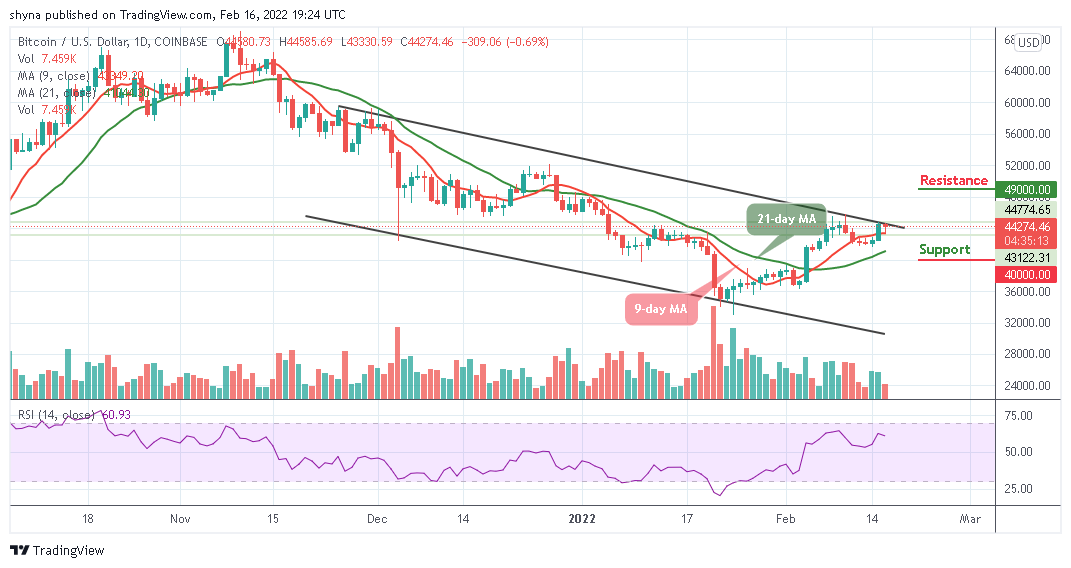 Bitcoin Price Prediction