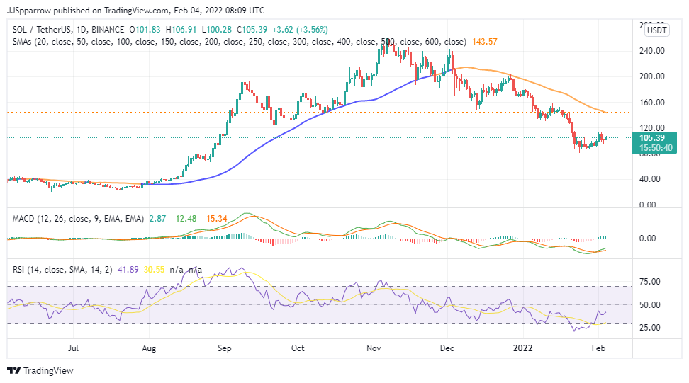 Top Altcoins to Buy