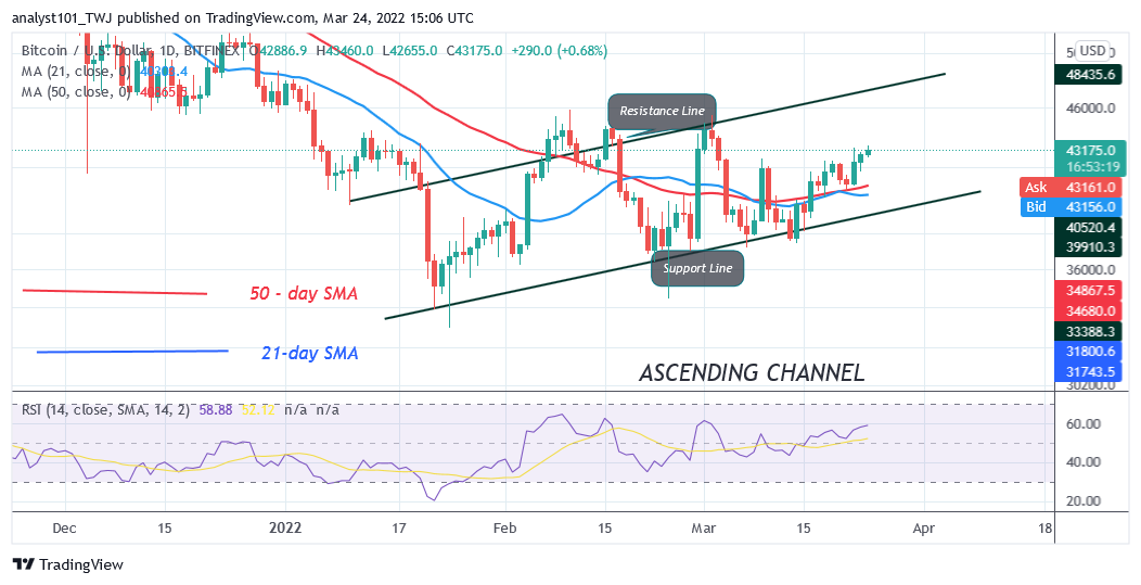 Bitcoinin (BTC) hintaennuste: BTC/USD rikkoo vastustasoja, kun Bitcoin nousee 45 XNUMX dollariin