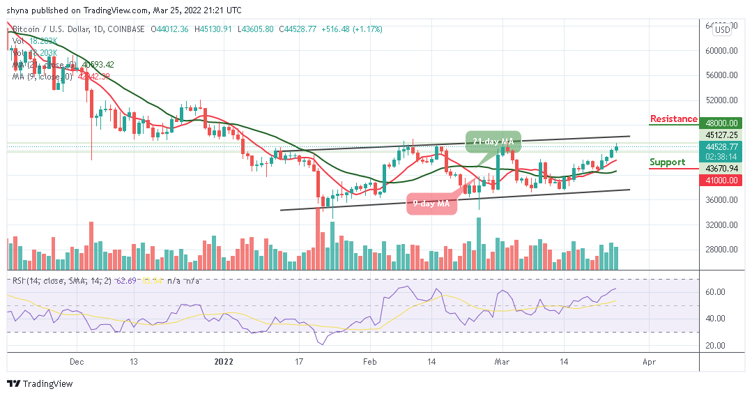 Bitcoin Price Prediction