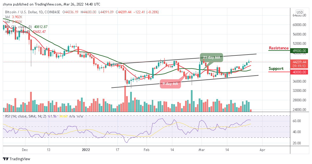 Bitcoin Price Prediction