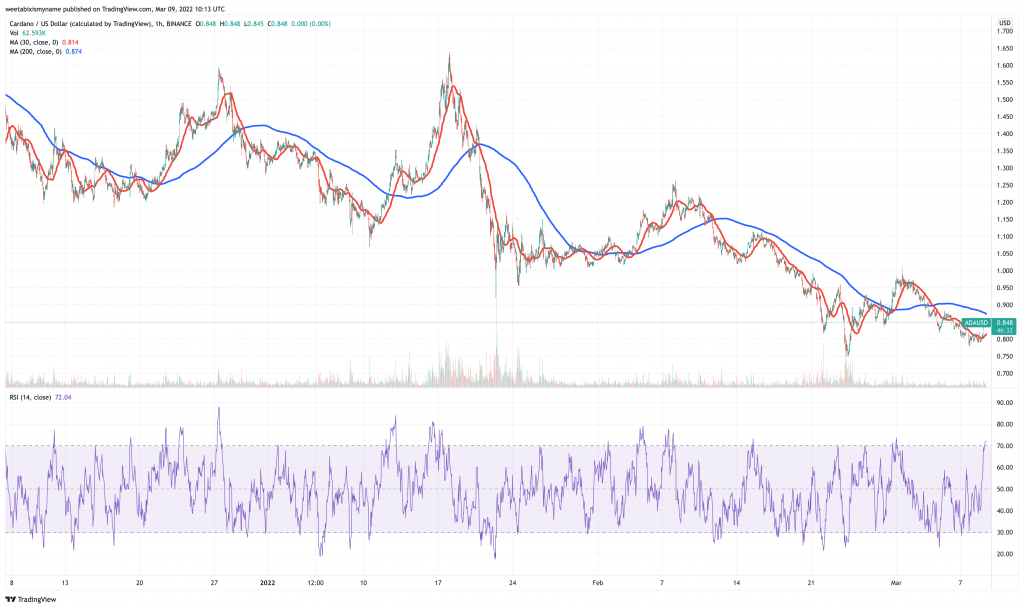 Cardano (ADA) verðskrá.