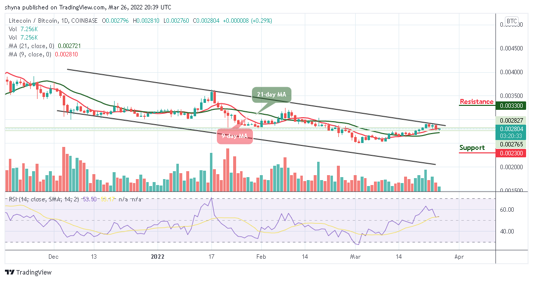 Litecoin価格予測