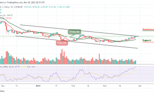 Litecoin Price Prediction