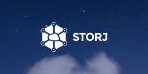 Storj Logo