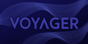 Voyager Digital Assets Auction