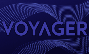 Voyager Digital Assets Auction