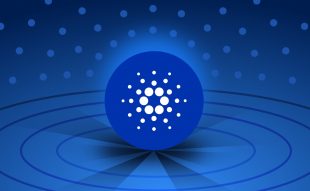 Cardano NFT projects