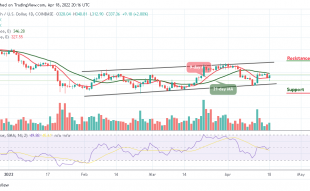 Bitcoin Cash Price Prediction