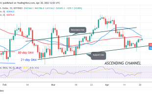 Bitcoin Price Prediction for Today April 20: BTC Price Is Stuck Below $42K as Bitcoin Continues Sideways Move