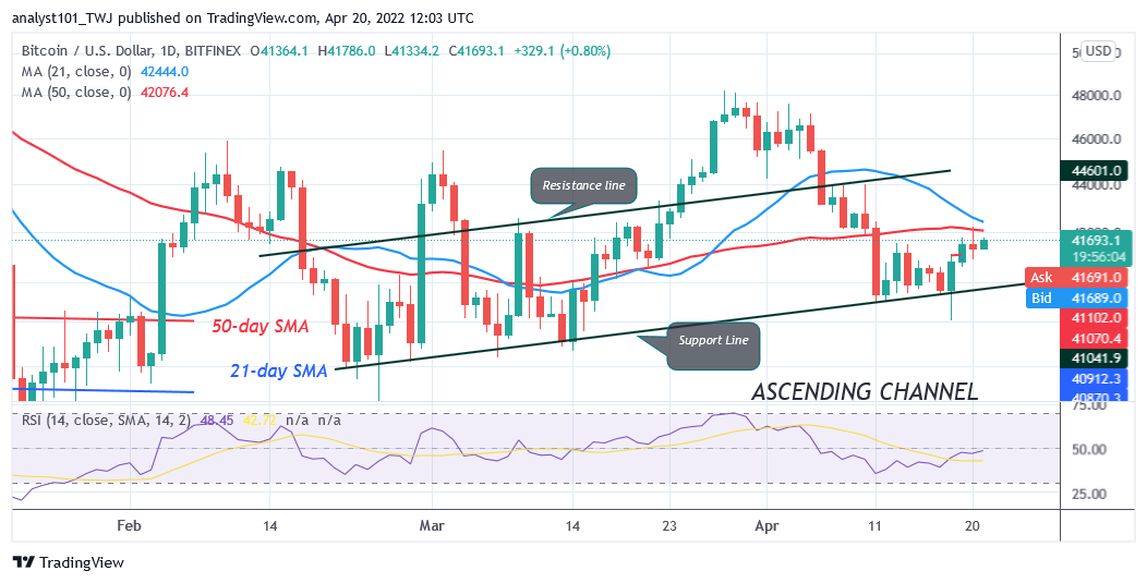 Bitcoin-Preisvorhersage für heute, den 20. April: Der BTC-Preis steckt unter 42 $ fest, während Bitcoin sich seitwärts bewegt