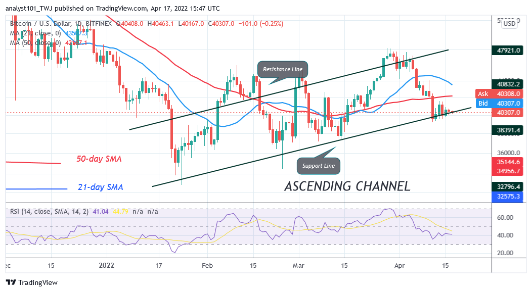 Previsão de preço do Bitcoin para hoje, 17 de abril: touros e ursos atingem indecisão enquanto o Bitcoin permanece acima de US$ 40 mil