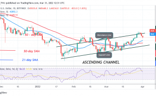 Bitcoin (BTC) Price Prediction: BTC/USD Reaches Oversold Region as Bitcoin Holds Above $44K