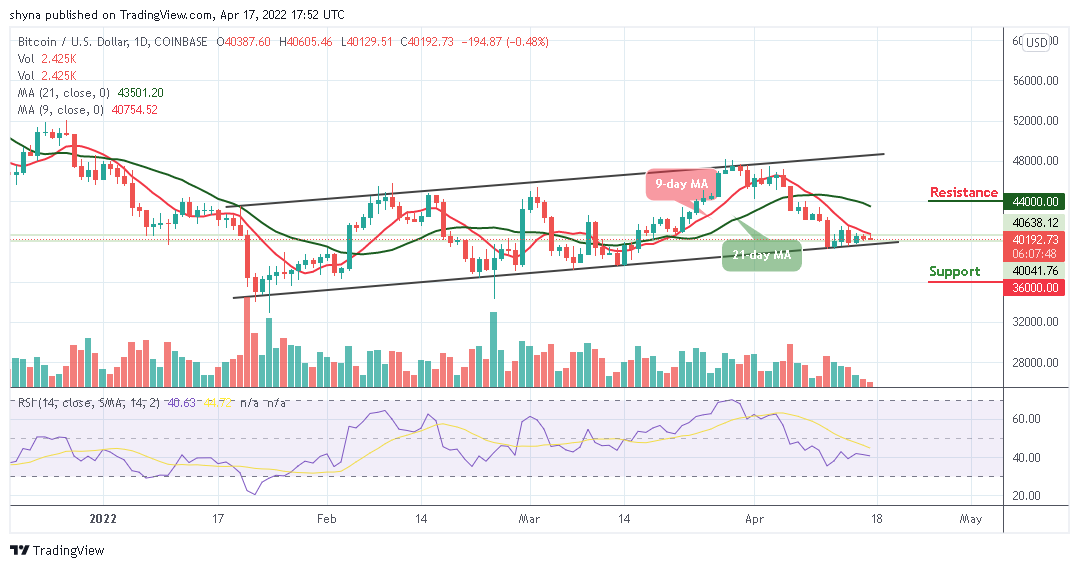 ビットコイン価格予測