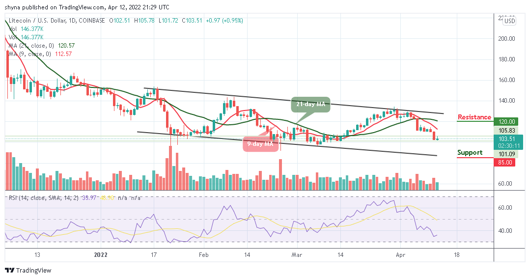 Litecoin Price Prediction