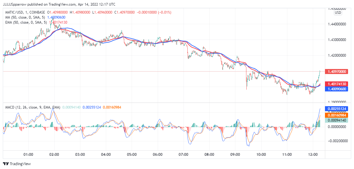 MATIC Price Chart