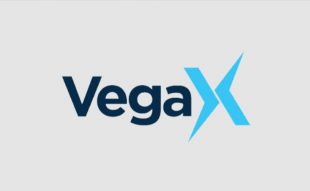 VegaX Holdings executive says decentralization will promote capital markets growth