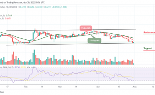 Ripple Price Prediction
