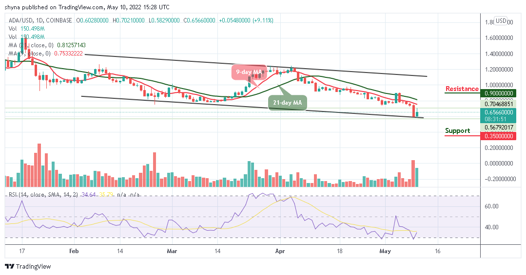 Cardano Price Prediction for Today, May 10: ADA Bulls May Push the Price Upward