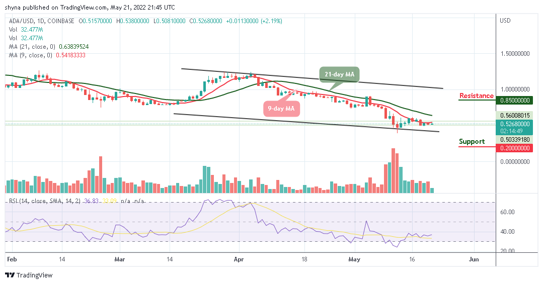 Cardano Price Prediction