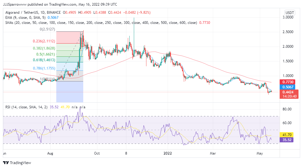 Carta Harga ALGO