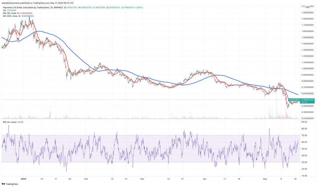 Gráfico de precios de Algorand (ALGO): las 5 mejores criptomonedas baratas para comprar.