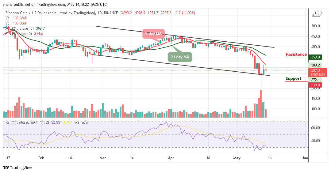 Prognoza cen monet Binance