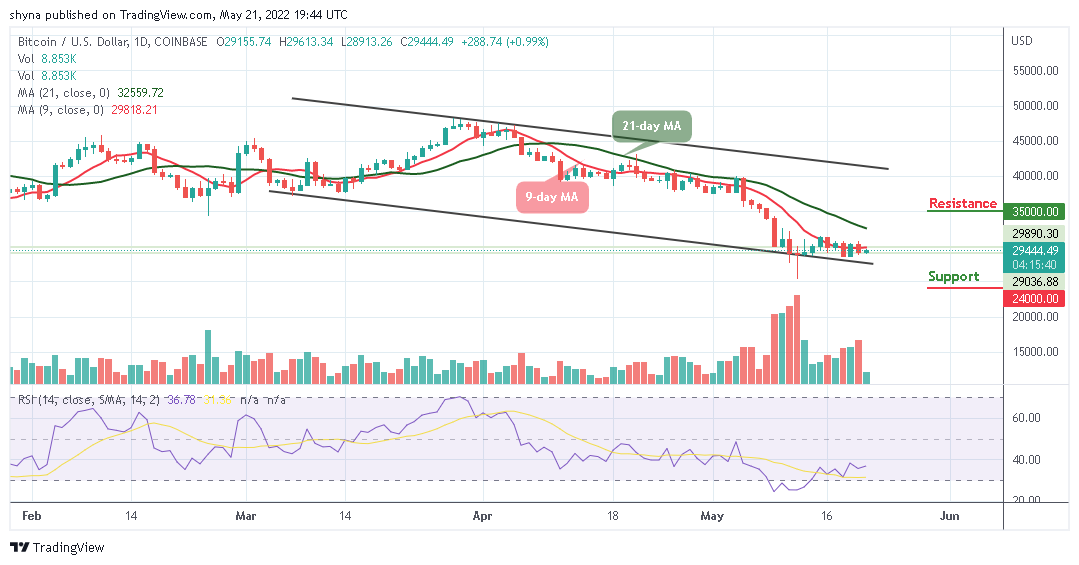 Prediction ng Bitcoin Presyo