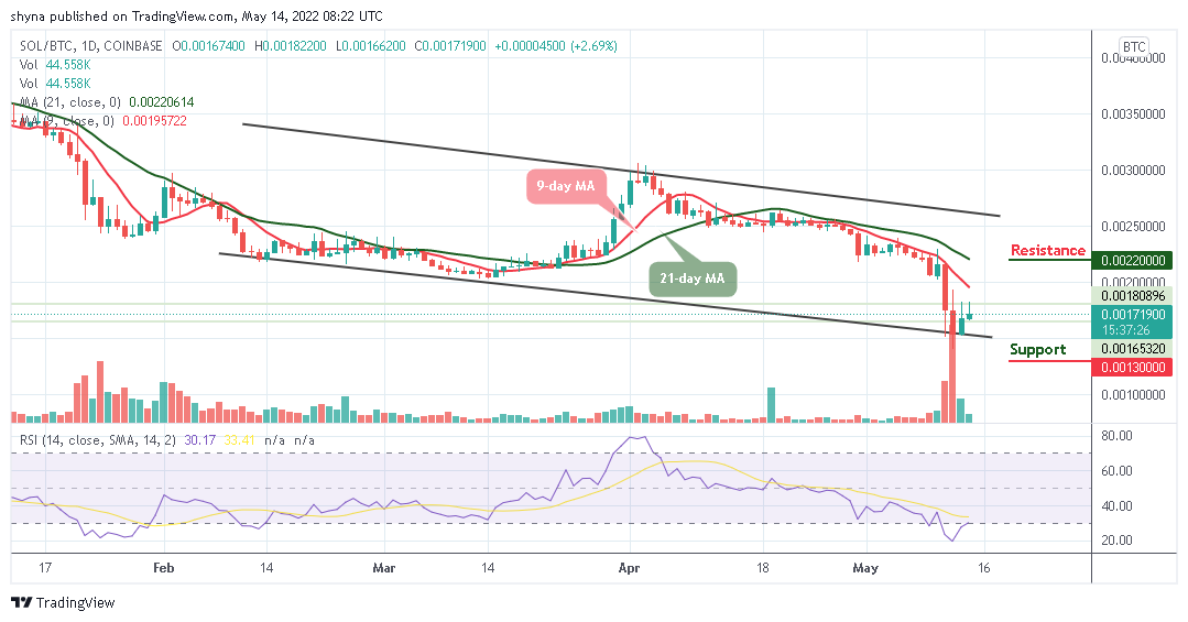 Solana Price Prediction