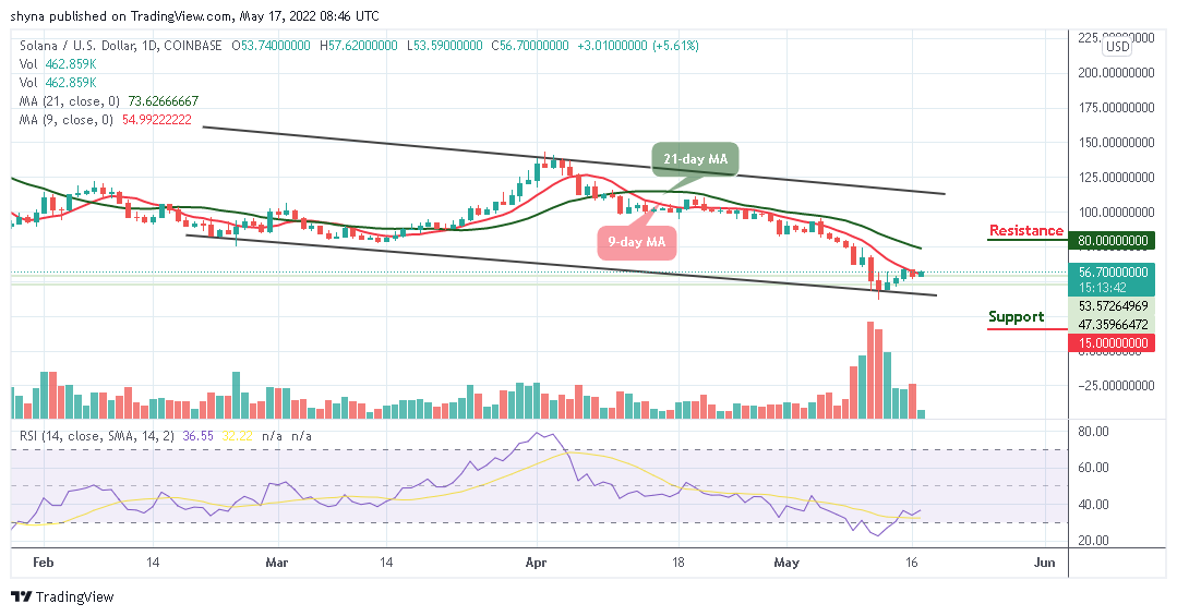 Solana Price Prediction