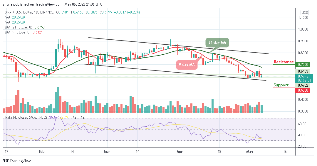 Dự đoán giá Ripple