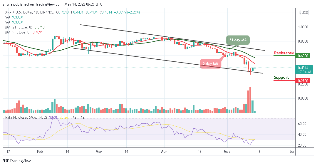 Ramalan Harga Ripple