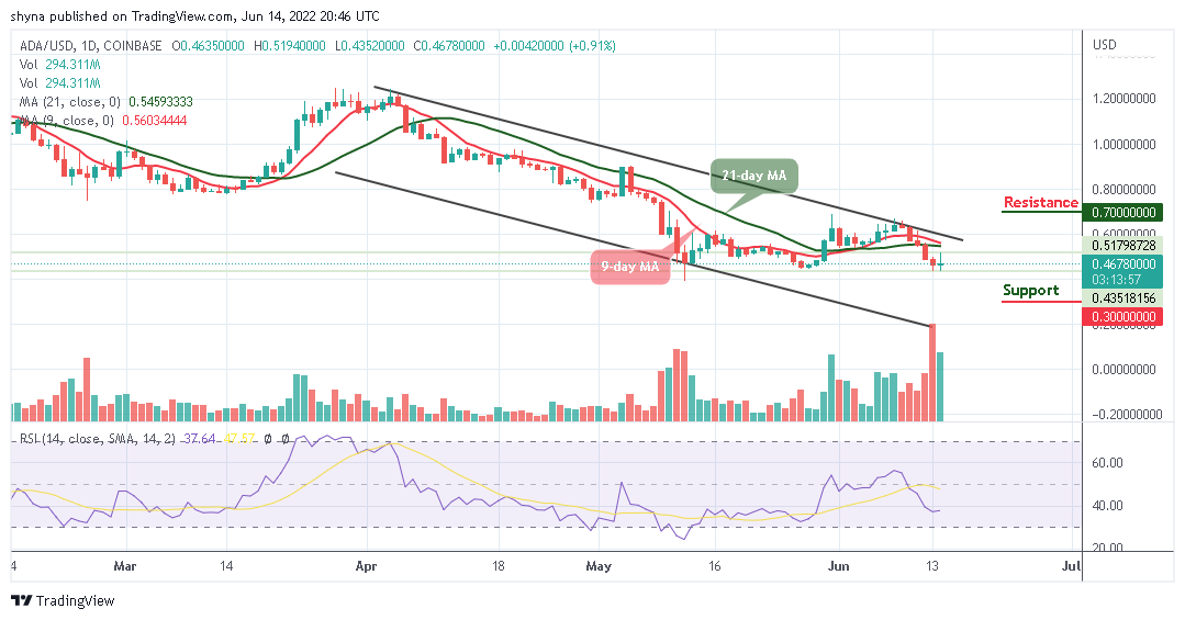 Cardano Price Prediction for Today, June 14: ADA Price May Cross Above $0.55