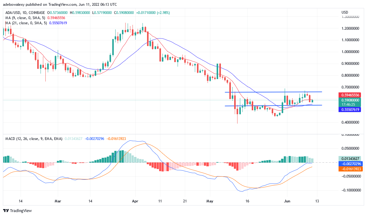 Cardano Price Prediction for June for June 11: ADA Appears to Be Bearish